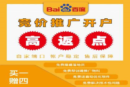 百度竞价赚钱之道：案例分析及技巧